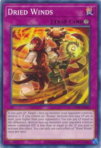 Dried Winds - OTS Tournament Pack 25 (OP25) #OP25-EN025 - Common / Short Print YuGiOh Trading Card