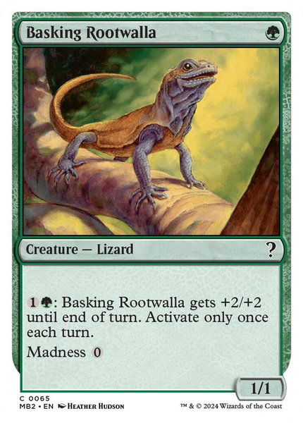 Basking Rootwalla (White Border) trading card from Mystery Booster 2 Basking Rootwalla (White Border) - Mystery Booster 2 Magic: The Gathering trading card