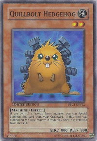 Quillbolt Hedgehog - 2010 Duelist Pack Collection Tin (DPCT) #DPCT-ENY02 - Super Rare YuGiOh Trading Card