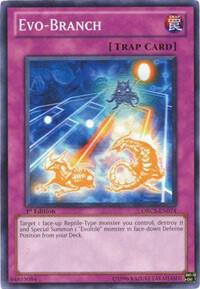 Evo-Branch - Order of Chaos YuGiOh trading card