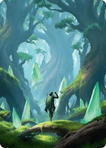 Forest Art Card (25/54) - Art Series: Foundations (ASFDN) #25 - Special Magic: The Gathering Trading Card