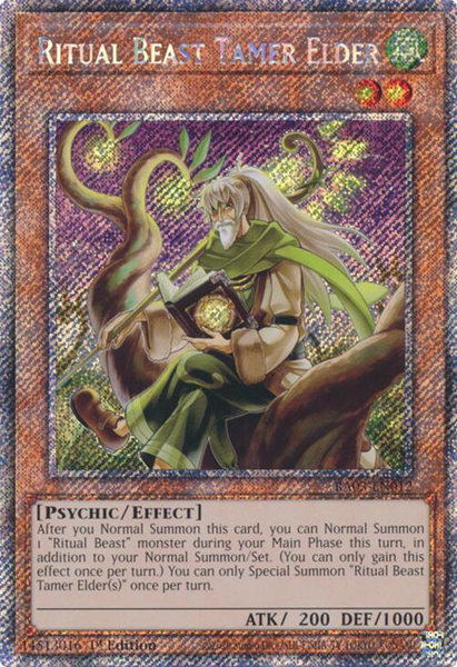 Ritual Beast Tamer Elder (Platinum Secret Rare) - Quarter Century Bonanza YuGiOh trading card