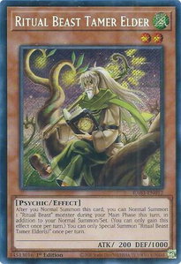 Ritual Beast Tamer Elder (Secret Rare) - Quarter Century Bonanza #RA03-EN012 - Secret Rare YuGiOh Trading Card