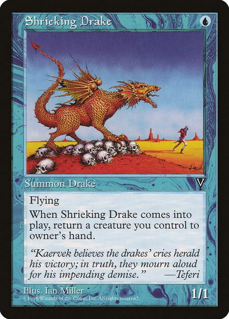 Shrieking Drake - Visions Magic: The Gathering trading card