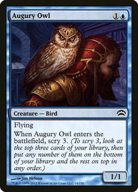 Augury Owl - Planechase 2012 (PC2) #14 - Common Magic: The Gathering Trading Card