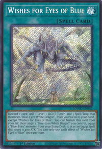 Wishes for Eyes of Blue (Secret Rare) - Structure Deck: Blue-Eyes White Destiny (SDWD) #SDWD-EN042 - Secret Rare YuGiOh Trading Card