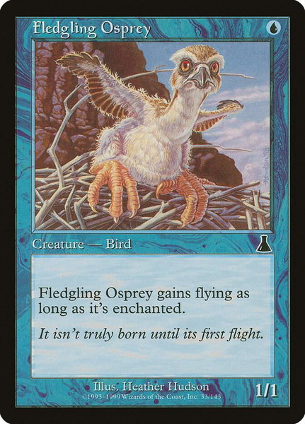 Fledgling Osprey trading card from Urza's Destiny Fledgling Osprey - Urza's Destiny Magic: The Gathering trading card