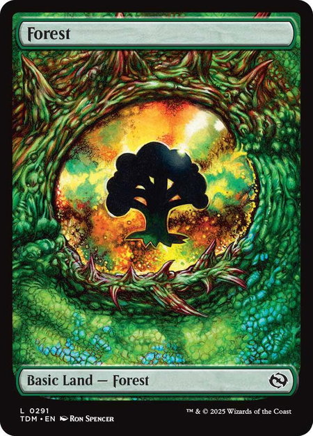 Forest (0291) - Tarkir: Dragonstorm Magic: The Gathering trading card