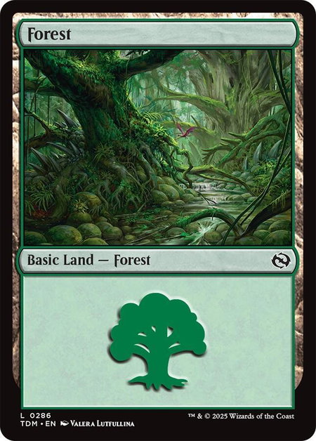 Forest (0286) - Tarkir: Dragonstorm Magic: The Gathering trading card