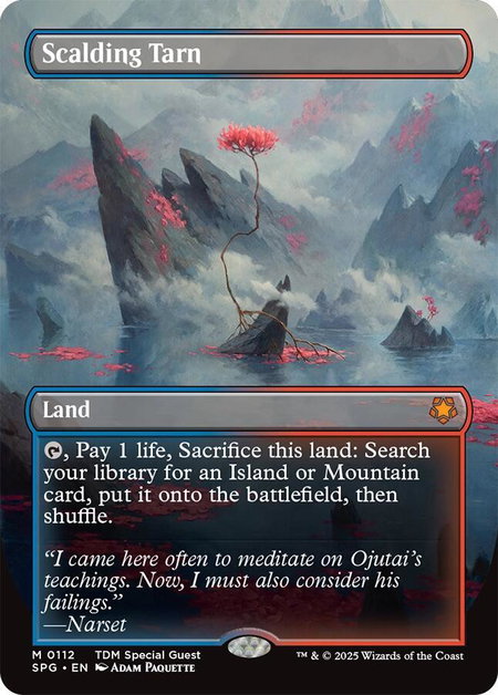 Scalding Tarn (Borderless) - Special Guests Magic: The Gathering trading card
