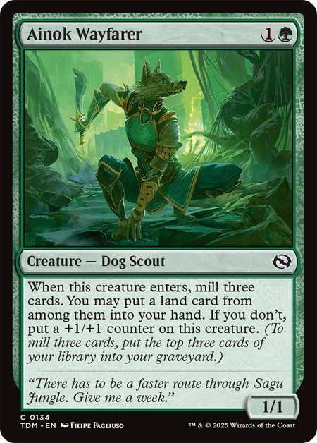 Ainok Wayfarer - Tarkir: Dragonstorm Magic: The Gathering trading card