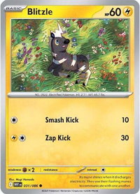 Blitzle - SV: White Flare (WHT) #031/086 - Common Pokémon Trading Card