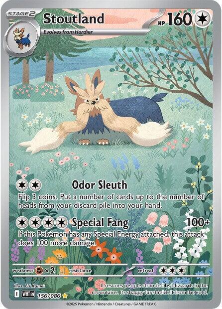 Stoutland - 156/086 trading card from SV: White Flare Stoutland - 156/086 - SV: White Flare Pokémon trading card
