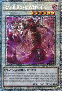 Rage Rose Witch (Starlight Rare) - Doom of Dimensions (DOOD) #DOOD-EN040 - Starlight Rare YuGiOh Trading Card