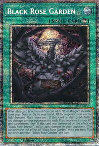 Black Rose Garden (Starlight Rare) - Doom of Dimensions (DOOD) #DOOD-EN055 - Starlight Rare YuGiOh Trading Card