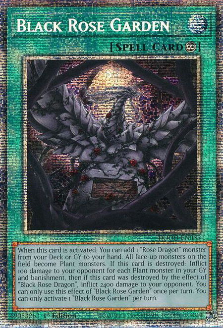 Black Rose Garden (Starlight Rare) - Doom of Dimensions YuGiOh trading card