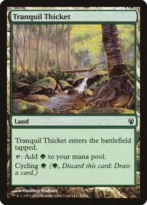 Tranquil Thicket - Duel Decks: Izzet vs. Golgari (DDJ) #82 - Common Magic: The Gathering Trading Card
