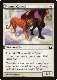 Trained Caracal - Return to Ravnica (RTR) #27 - Common Magic: The Gathering Trading Card