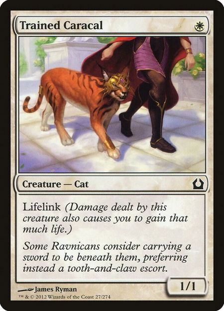 Trained Caracal - Return to Ravnica Magic: The Gathering trading card