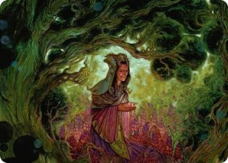 Bloom Tender Art Card trading card from Art Series: Lorwyn Eclipsed Bloom Tender Art Card - Art Series: Lorwyn Eclipsed Magic: The Gathering trading card