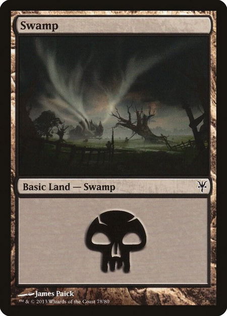 Swamp (78) - Duel Decks: Sorin vs. Tibalt Magic: The Gathering trading card
