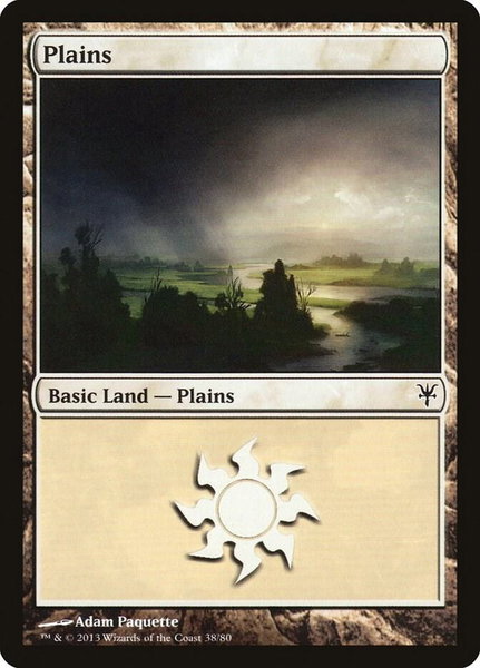 Plains (38) trading card from Duel Decks: Sorin vs. Tibalt Plains (38) - Duel Decks: Sorin vs. Tibalt Magic: The Gathering trading card