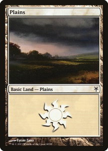 Plains (40) - Duel Decks: Sorin vs. Tibalt (DDK) #40 - Land Magic: The Gathering Trading Card