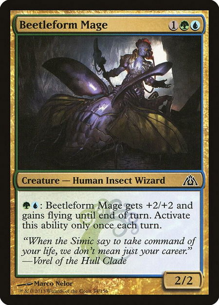 Beetleform Mage - Dragon's Maze Magic: The Gathering trading card