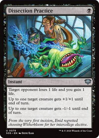 Dissection Practice - Secrets of Strixhaven (SOS) #79 - Uncommon Magic: The Gathering Trading Card