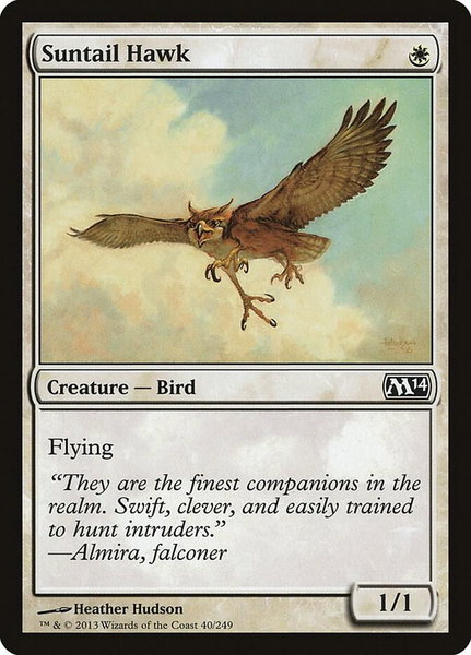 Suntail Hawk trading card from Magic 2014 (M14) Suntail Hawk - Magic 2014 (M14) Magic: The Gathering trading card