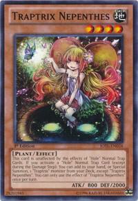 Traptrix Nepenthes trading card from Judgment of the Light Traptrix Nepenthes - Judgment of the Light YuGiOh trading card