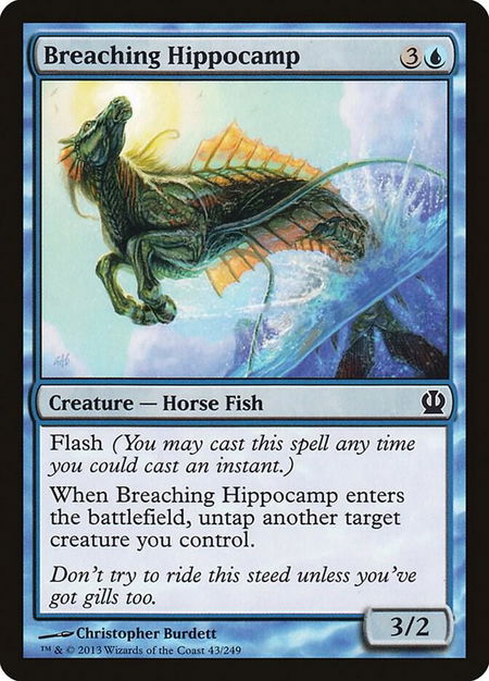 Breaching Hippocamp - Theros Magic: The Gathering trading card