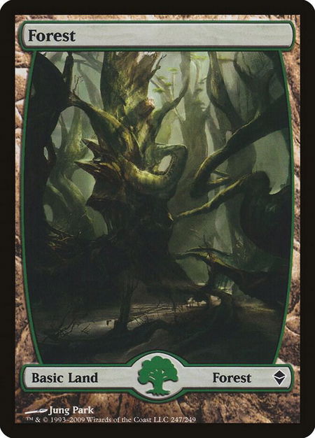 Forest (247) - Full Art - Zendikar Magic: The Gathering trading card