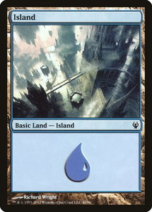 Island (40) - Duel Decks: Izzet vs. Golgari (DDJ) #40 - Land Magic: The Gathering Trading Card