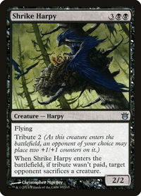 Shrike Harpy - Born of the Gods (BNG) #83 - Uncommon Magic: The Gathering Trading Card