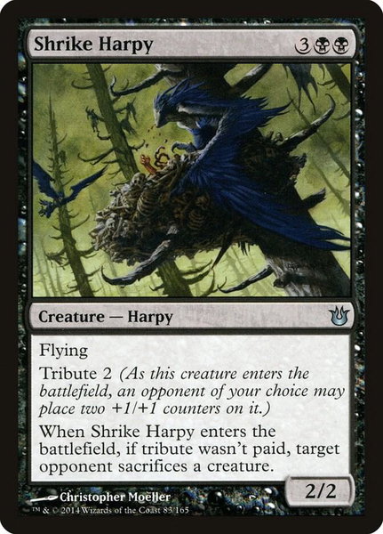 Shrike Harpy - Born of the Gods Magic: The Gathering trading card
