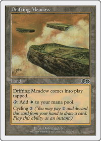 Drifting Meadow - Anthologies (ATH) #72 - Common Magic: The Gathering Trading Card