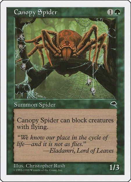 Canopy Spider trading card from Anthologies Canopy Spider - Anthologies Magic: The Gathering trading card