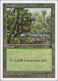 Forest (Arena) - Anthologies (ATH) #84 - Land Magic: The Gathering Trading Card