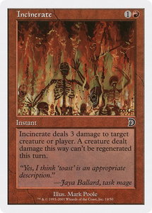 Incinerate - Deckmasters Garfield vs Finkel (DKM) #14 - Common Magic: The Gathering Trading Card
