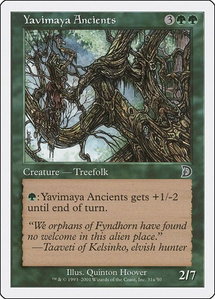 Yavimaya Ancients (31a) - Deckmasters Garfield vs Finkel (DKM) #31a - Common Magic: The Gathering Trading Card