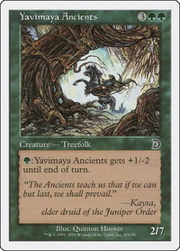 Yavimaya Ancients (31b) - Deckmasters Garfield vs Finkel (DKM) #31b - Common Magic: The Gathering Trading Card