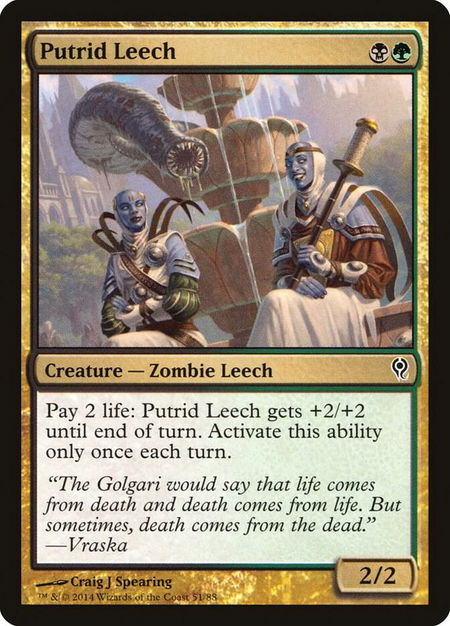 Putrid Leech - Duel Decks: Jace vs. Vraska Magic: The Gathering trading card