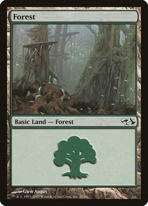 Forest (28) - Duel Decks: Elves vs. Goblins (EVG) #28 - Land Magic: The Gathering Trading Card