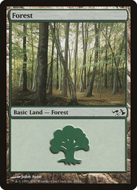 Forest (29) - Duel Decks: Elves vs. Goblins (EVG) #29 - Land Magic: The Gathering Trading Card