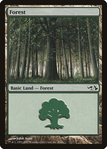 Forest (30) - Duel Decks: Elves vs. Goblins (EVG) #30 - Land Magic: The Gathering Trading Card