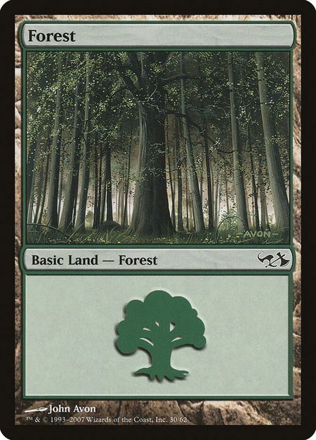 Forest (30) trading card from Duel Decks: Elves vs. Goblins Forest (30) - Duel Decks: Elves vs. Goblins Magic: The Gathering trading card