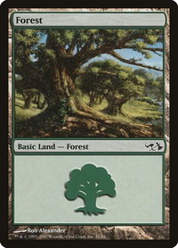 Forest (31) - Duel Decks: Elves vs. Goblins (EVG) #31 - Land Magic: The Gathering Trading Card