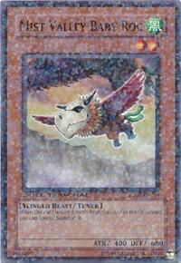 Mist Valley Baby Roc - Duel Terminal 2 (DT02) #DT02-EN019 - Duel Terminal Normal Parallel Rare YuGiOh Trading Card