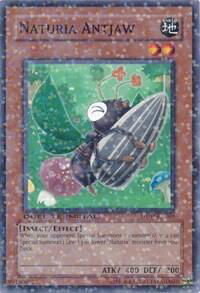 Naturia Antjaw - Duel Terminal 2 (DT02) #DT02-EN069 - Duel Terminal Normal Parallel Rare YuGiOh Trading Card